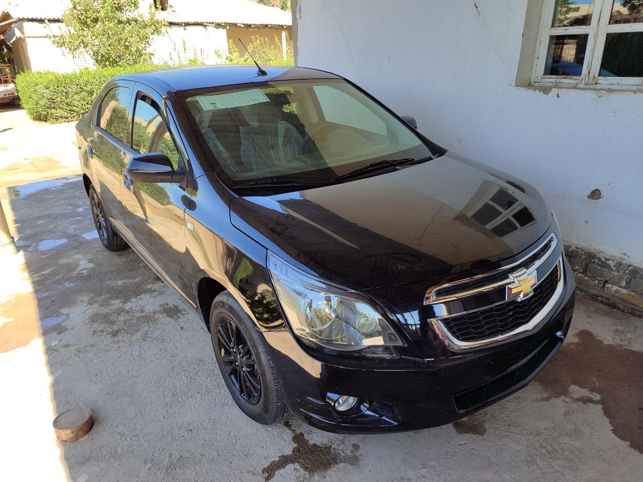 Cobalt midnight darkman blue shot spravka
Shot spavka 
Egadan !!!

Bax