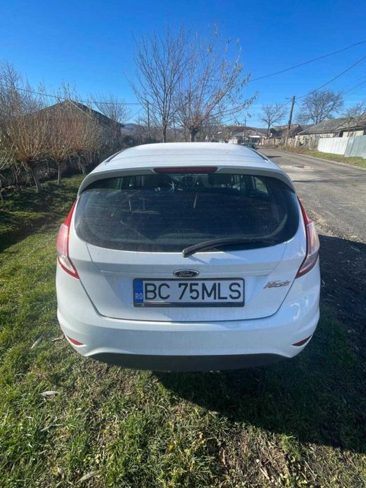 Vand Ford Fiesta