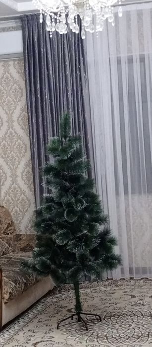 Ёлка сатылады жаңа қолданылмаған үйге кіші болып қалды алып едік