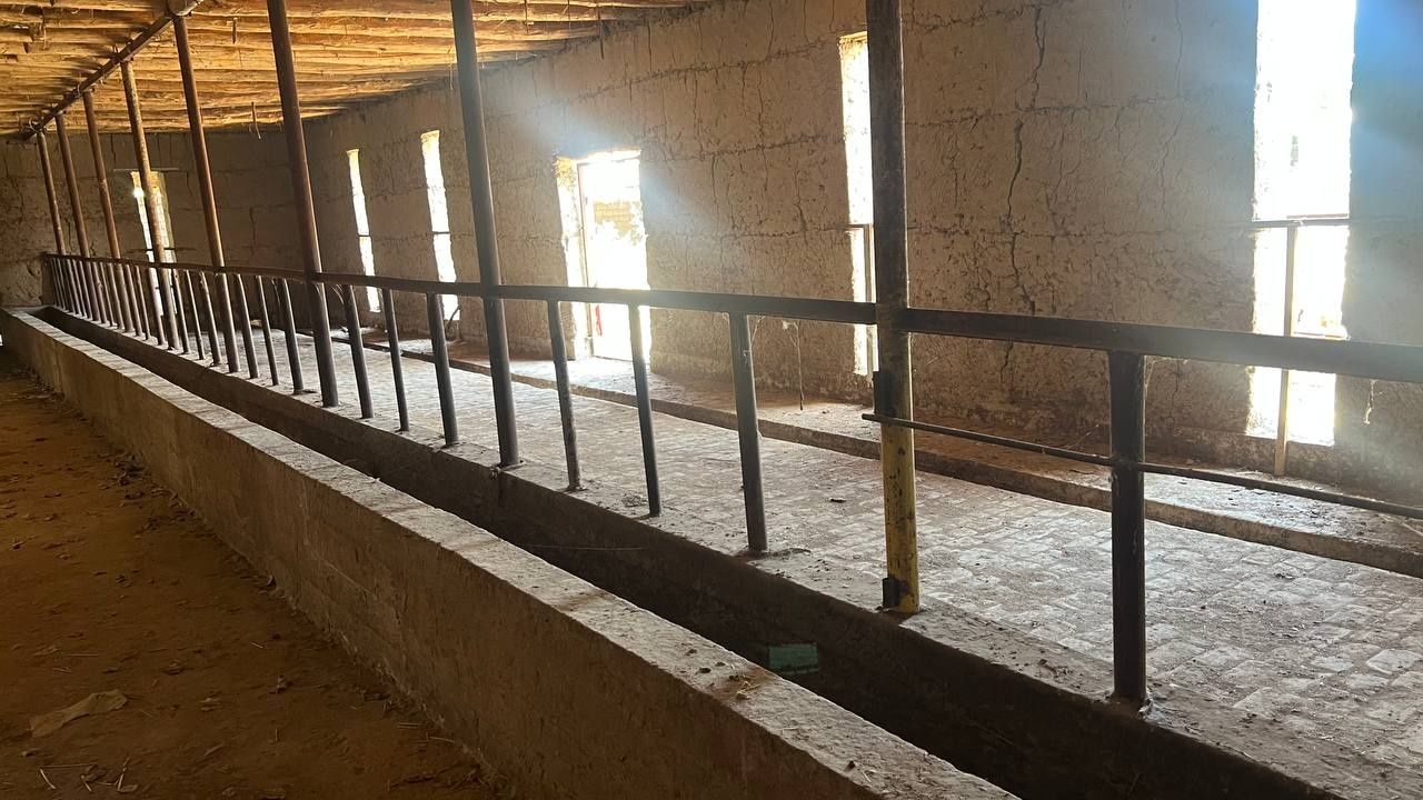 Arenda Ferma Xalqabod Yangiyol