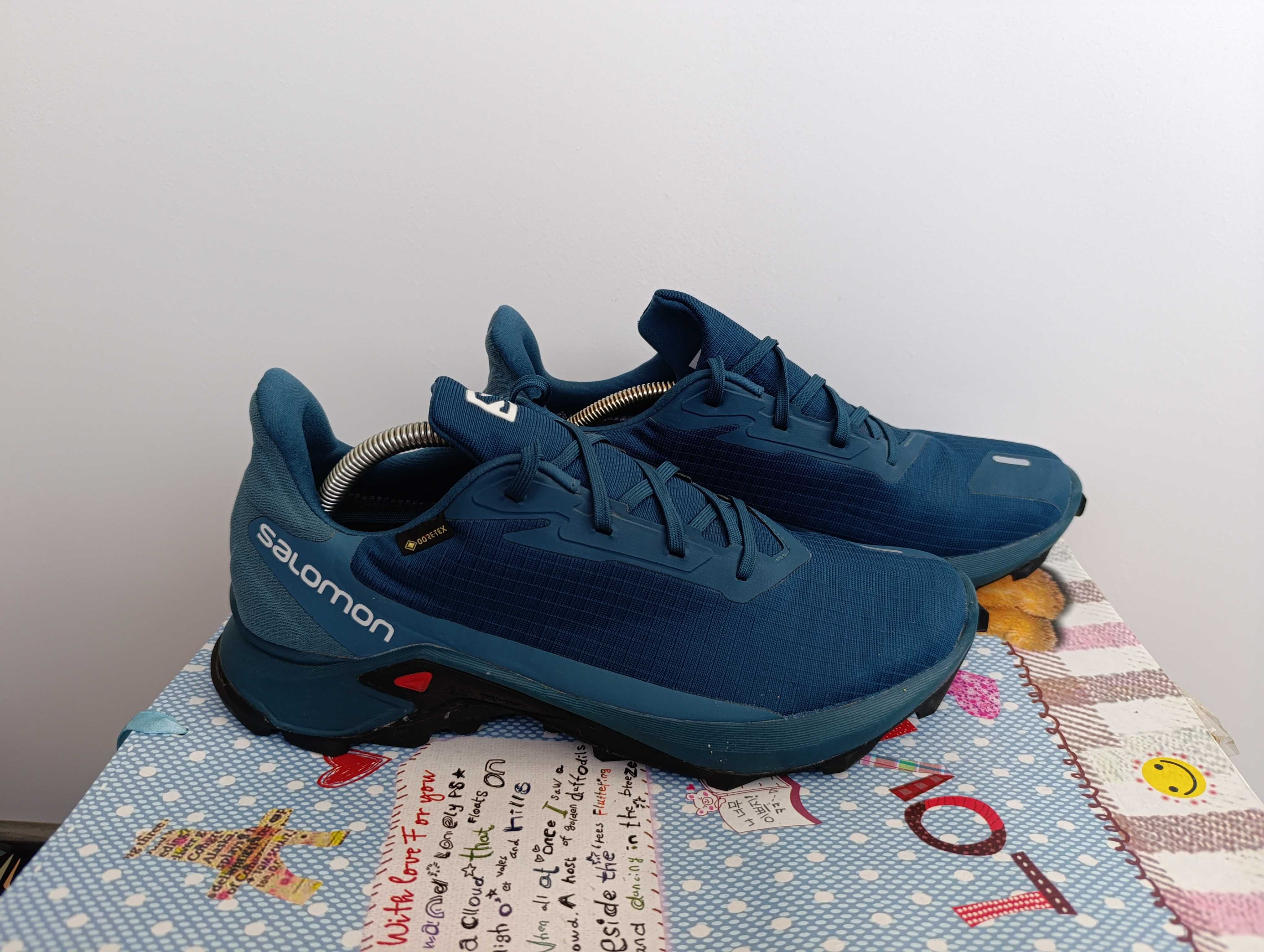 ''Salomon Alphacross 3 GORE-TEX''оригинални маратонки 44 номер