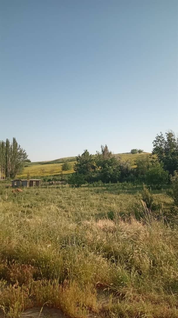 Участка сотилади, 12 сотих