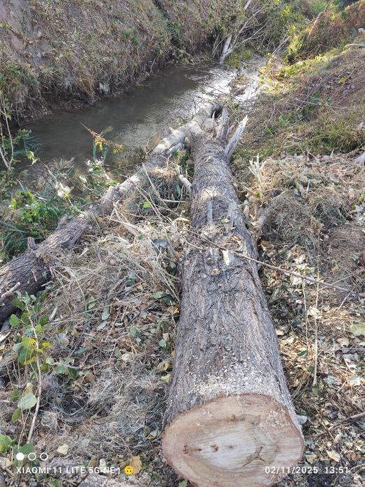 Tere sotiladi keliwtrib bervoramz 5 m dan uzunligi
