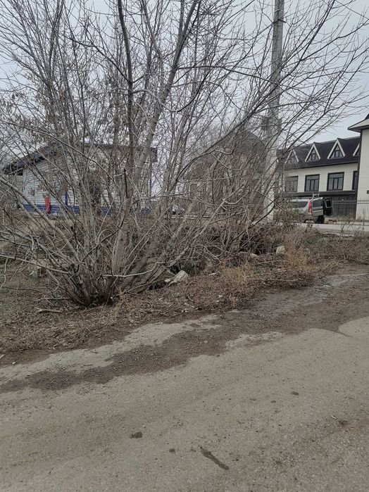 Дом инвалидов для строительства