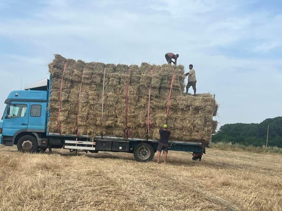 Сено с малко люцерна вьтре