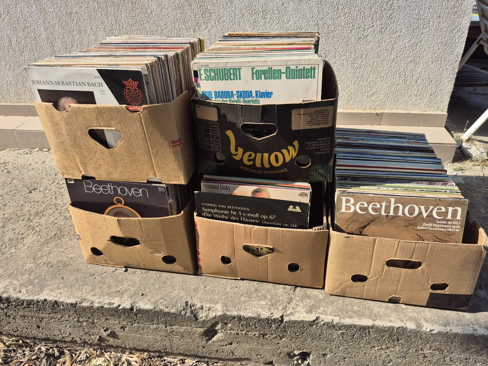 Lot Discuri Vinil colectie 200 in stare buna cu muzica clasică 

- Tot