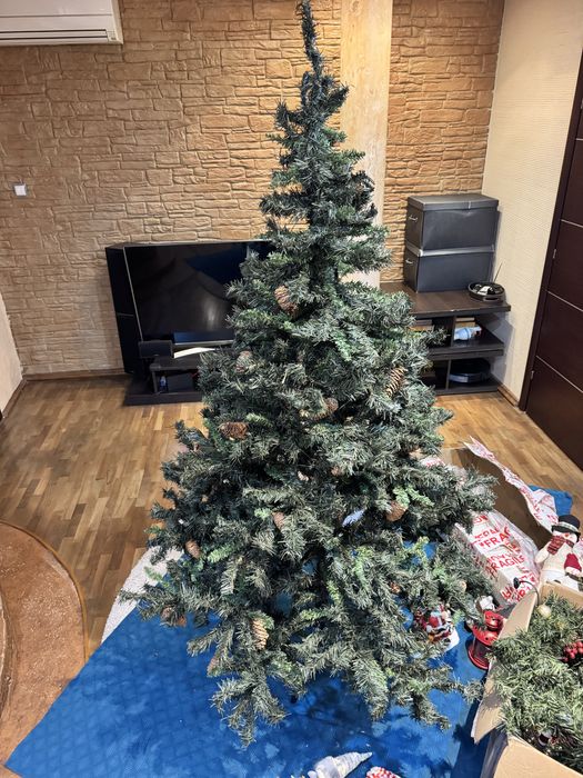 Елха с шишарки 210см.