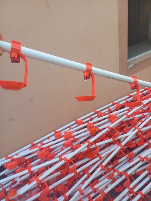 Непил пайилка сотилади