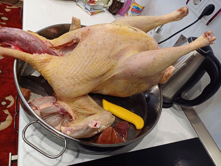 Продавам домашни пуйки