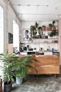 Озеленение кафе и ресторанов, офисов живые растения