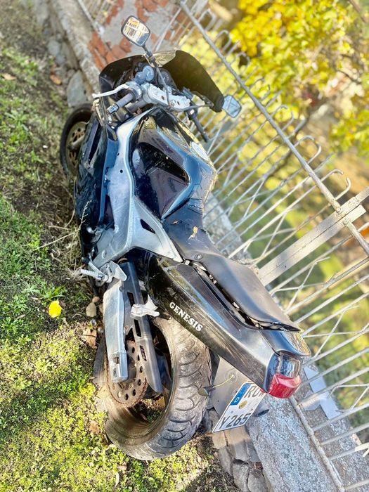 Yamaxa Genesis нов внос от германия