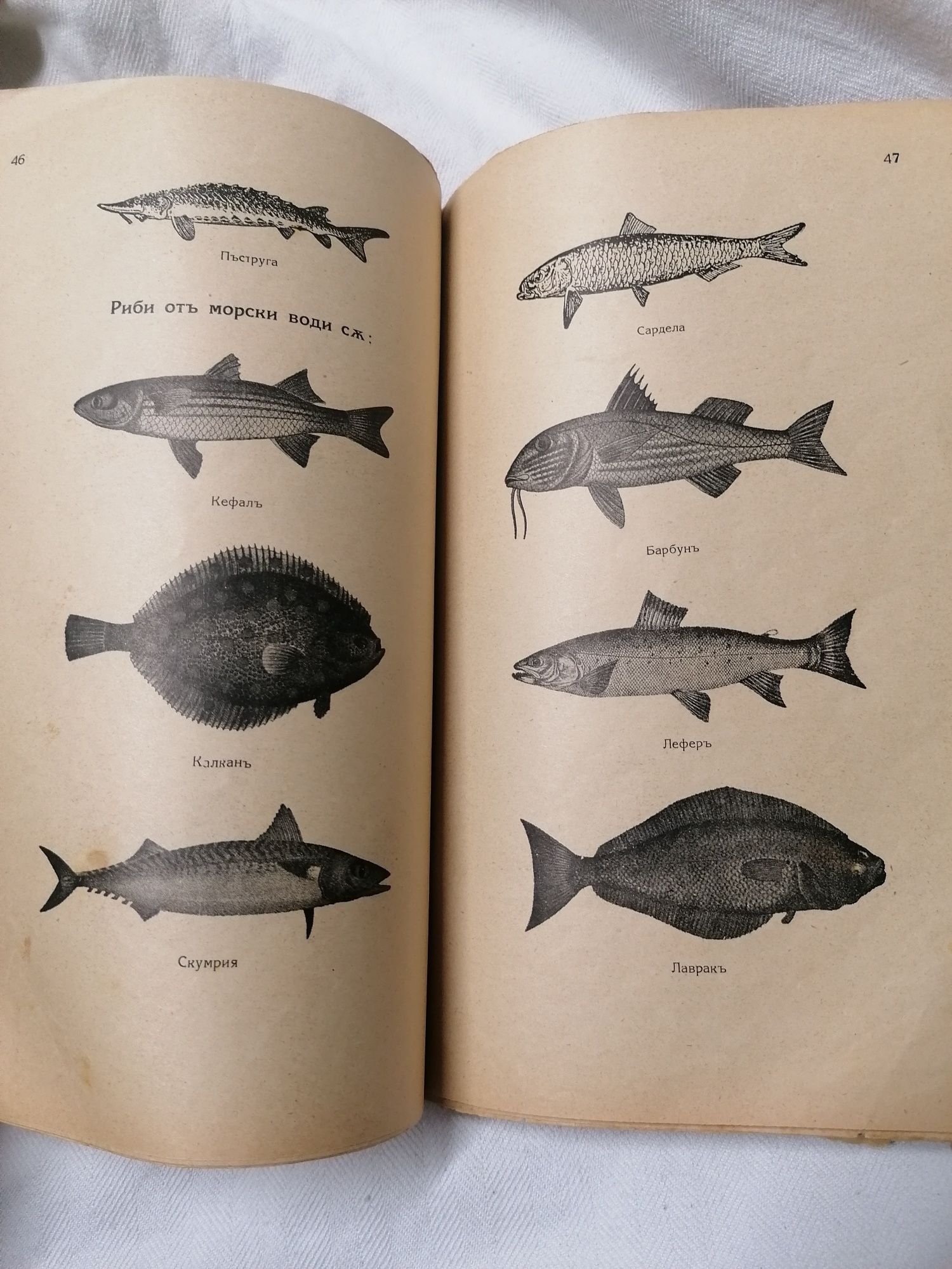 Готварски книги 3бр. от 1942г.