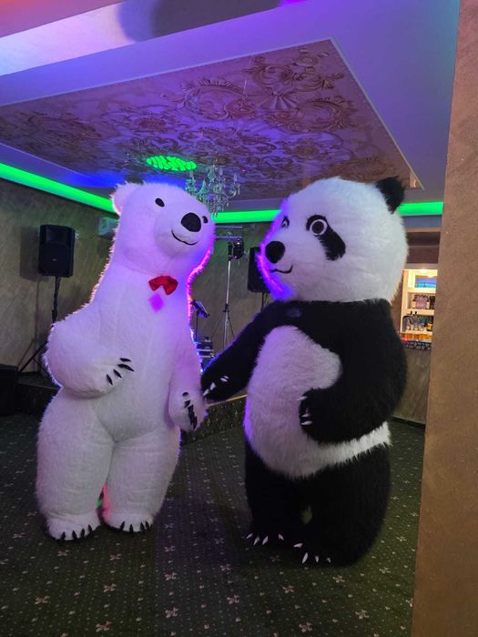 Ursuleți Dansatori Focuri