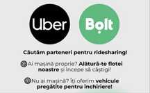 Flota auto pentru RideSharing