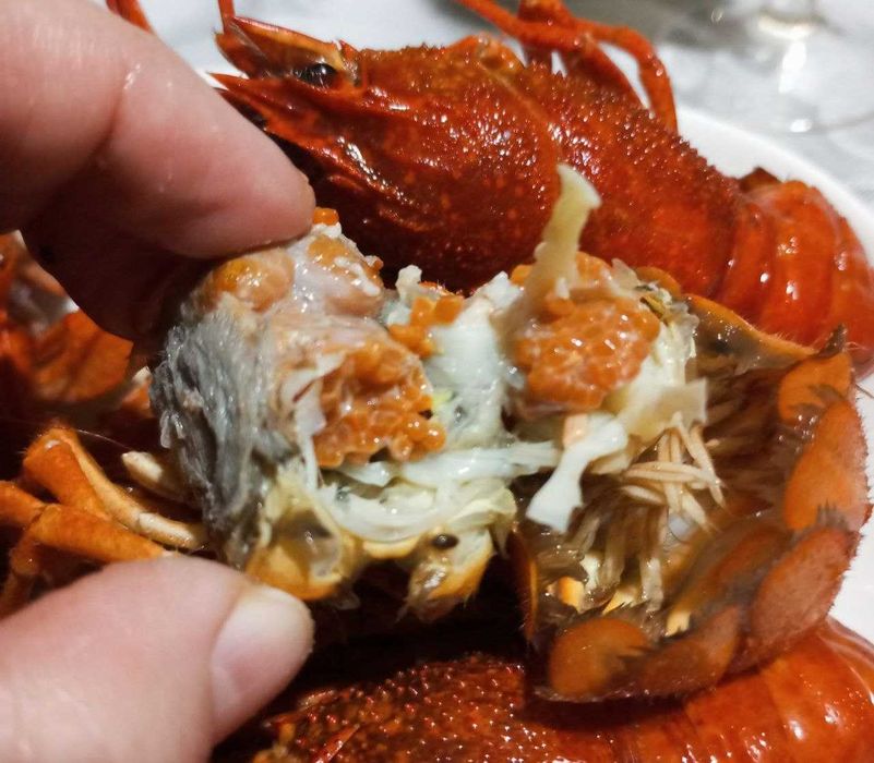 Раки живые и вареные