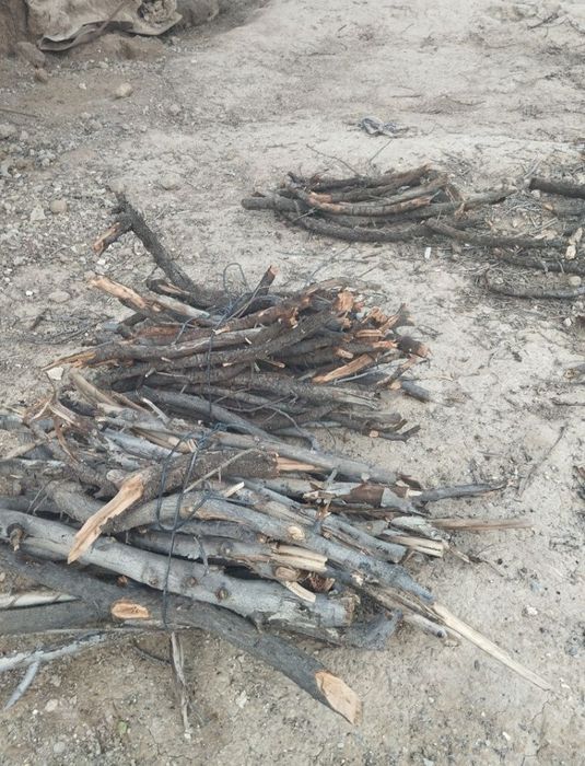 Қуруқ ўтин сотилади