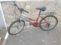 Bicicleta Dama  DHS 24