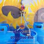 Kit complet 3 butelii GPL 50 L+accesorii pentru centrale 20-35Kw