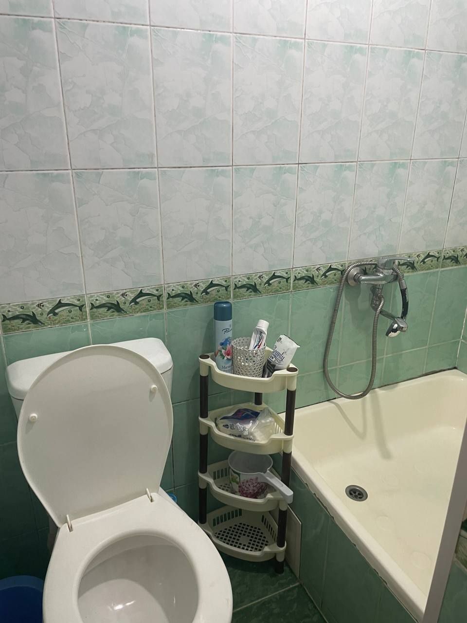 Сдам 1/2/4 Ш. Руставелли, Аския базар