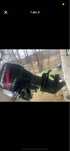 Vand sau dezmembrez mercury 90 cp 2 timpi