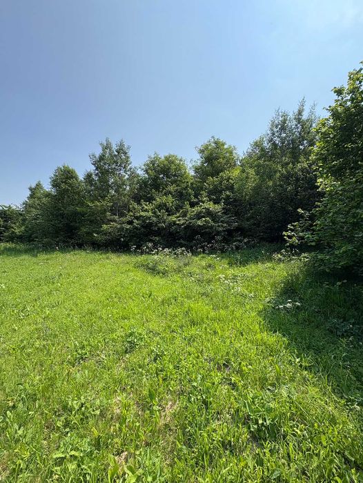 1000 mp (35 min de cluj) în Iclozel - la poalele padurii - INTRAVILAN