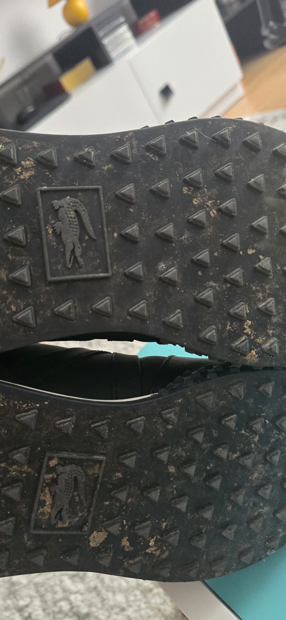 Adidasi Lacoste 41