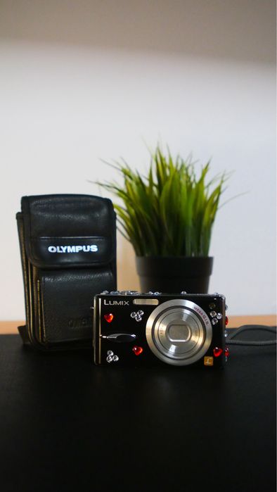 Panasonic LUMIX DMC-FX8 5.0MP Digital Camera