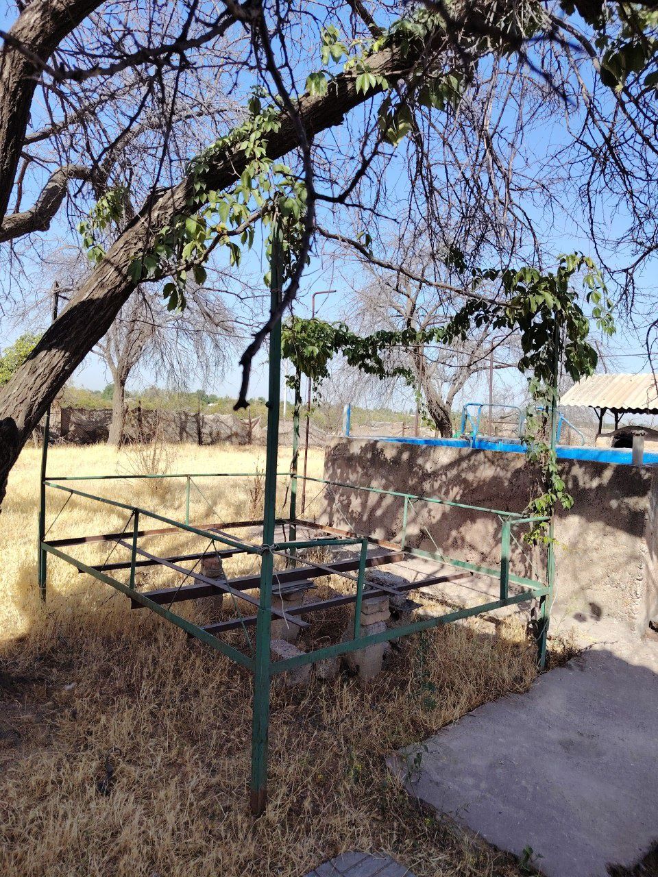 Dacha sotiladi naryini kelishamiz