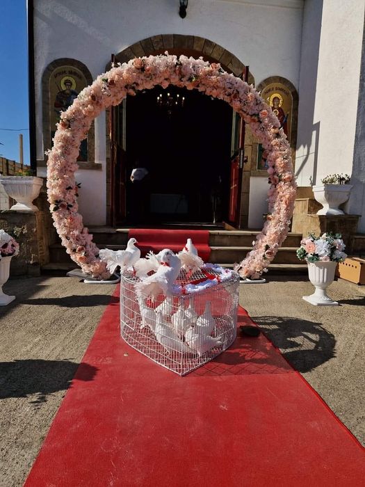 Cușcă porumbei evenimente