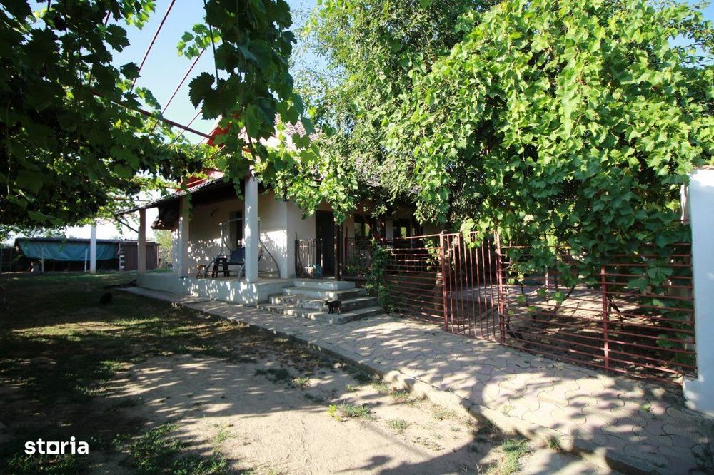 Casa La Tara  - 2700MP - Tichilesti Constanta - Vita De Vie - Pomi Fru