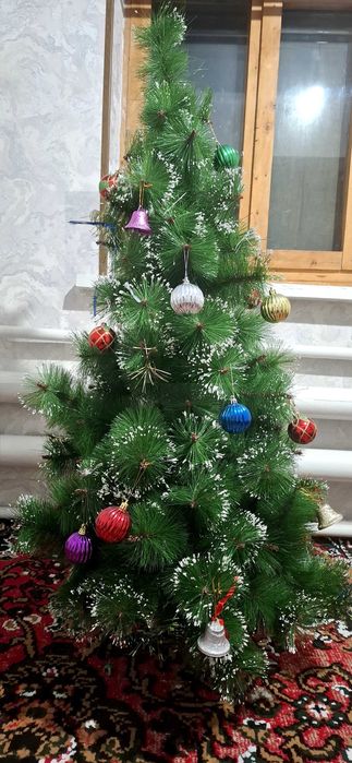 Ёлка новогодние с низким ценой