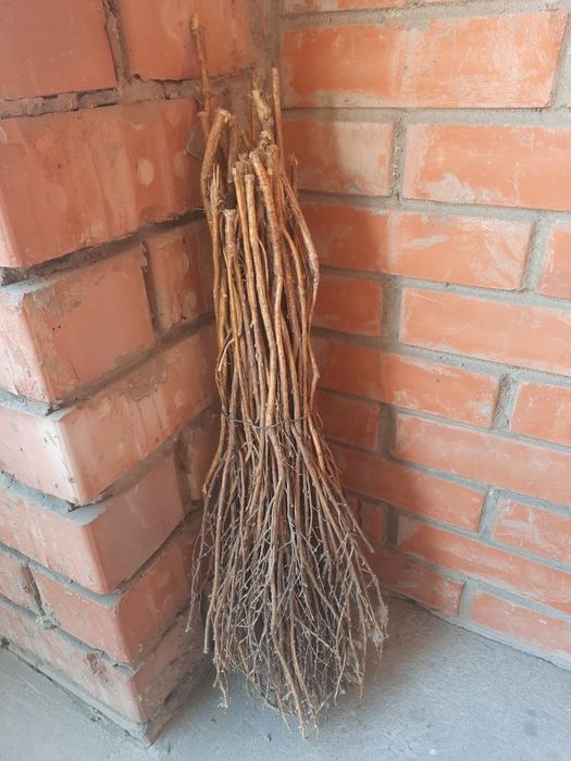 Веник ,метла ...