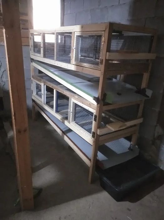 Предлагам зайци за разплод и