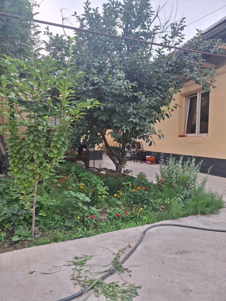 Продаю свой Участок, Дом