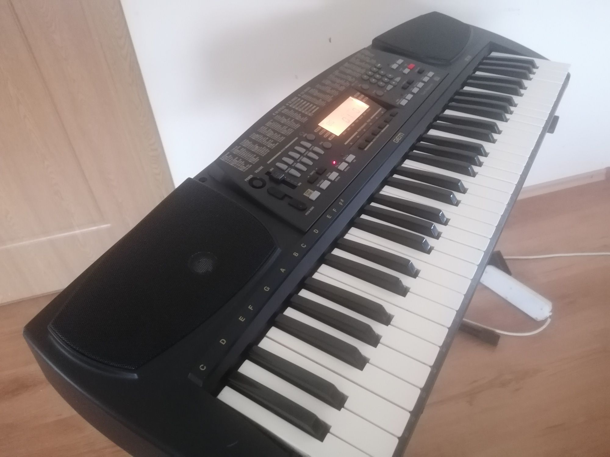 GEM GK-310 dinamic touch Display