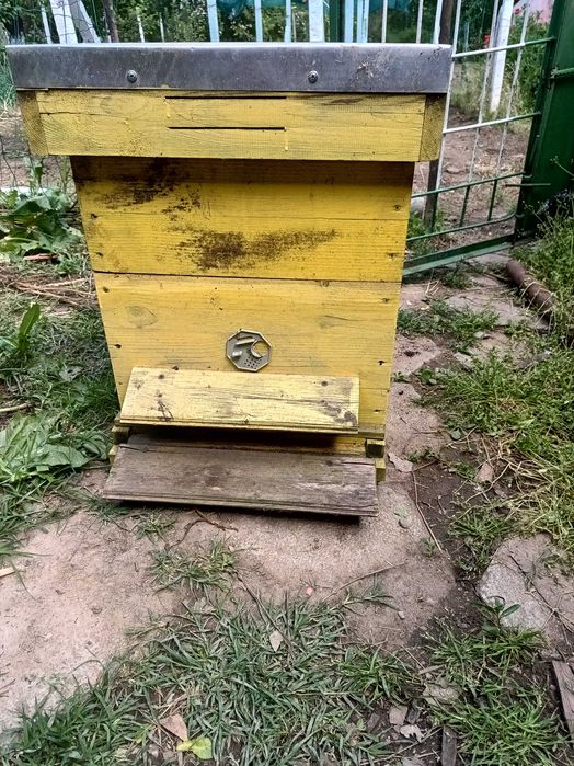 Използвани пчелни кошери