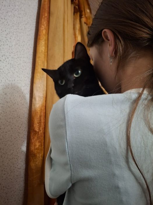 кот имя :Борзый!