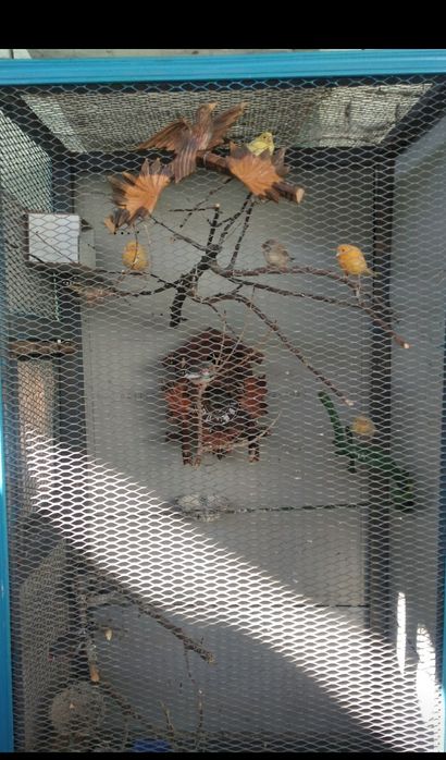 Клетка для птиц,