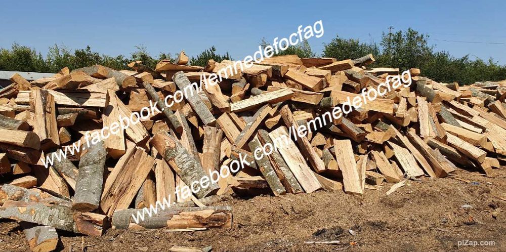 Lemne pentru foc . Pret bun la lemnele de foc fag si la carbuni lignit