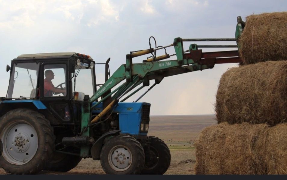 Продам Сельское крестьяское хозяйство