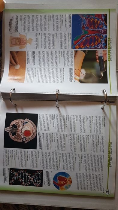 Colectie interiorul corpului uman medicina