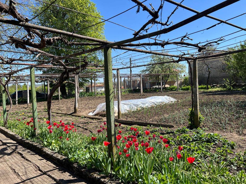 Продава се Къща в Каолиново - 834 кв.м за 36 €/кв.м - Снимка #15