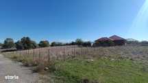 Teren Intravilan 435 mp - Zona Lacuri - 50 m pana la asfalt