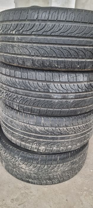 Nexen R17 / 45/245