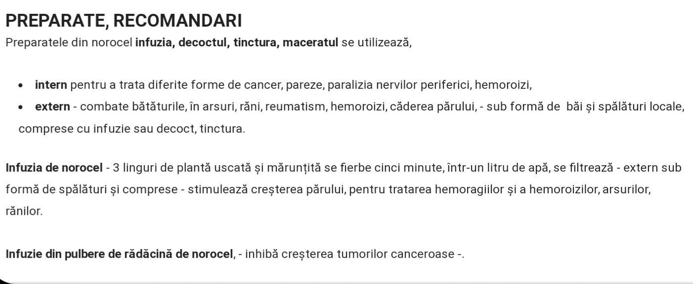 Sedum norocel  plantă ornamentală  și medicinală  la găleată de 20 l.