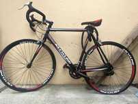 Bicicleta KS Cycling Euphoria (cursieră)