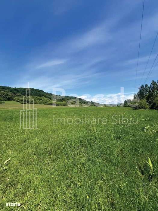 Teren generos de 10.000 mp la iesirea din localitatea Bradu, Sibiu