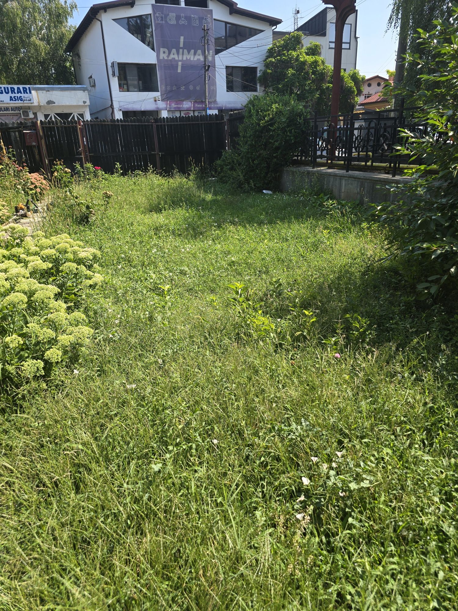 Ofer servicii de curățare și întreținere terenuri,curții.