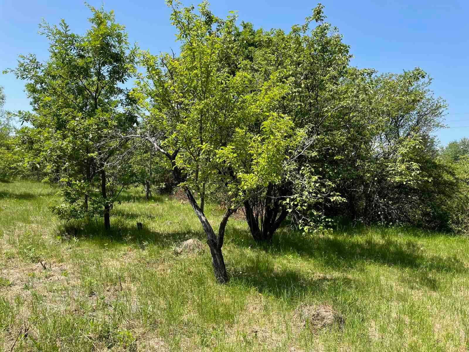 Продава ВИЛА    
област София, с. Вакарел