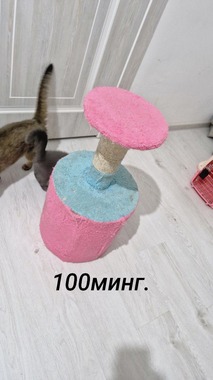 Домик для кошек уйча мушуклар учун б/у